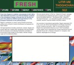 The-Reasons-Why-Flyer2