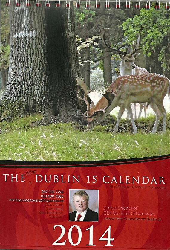 d15calendar1
