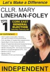 MaryLinehan-Foley-Ind-CorkEast2020 (1)